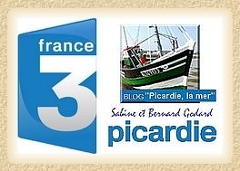 5 archives61